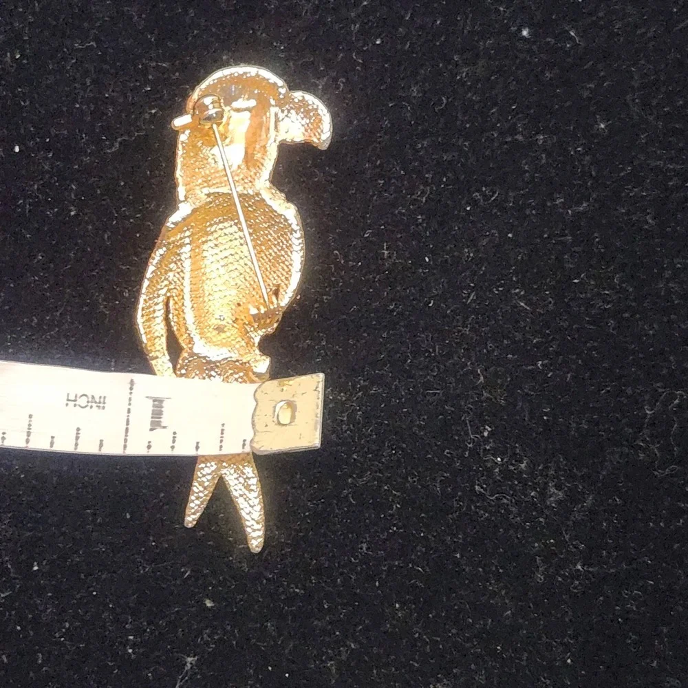 N/A charming parrot
